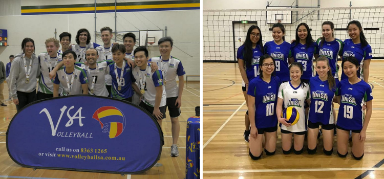 Volleyball Club images