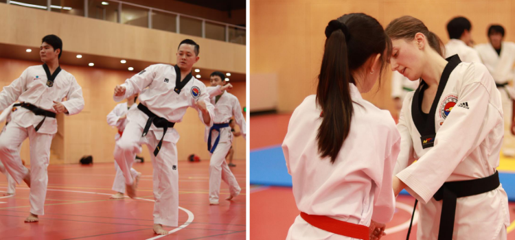 Taekwondo Club images